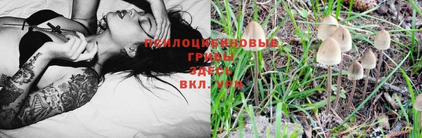 таблы Михайлов
