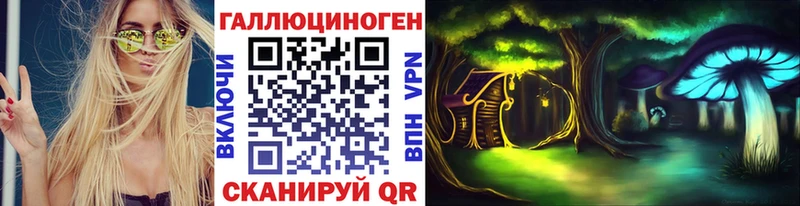Галлюциногенные грибы Psilocybine cubensis  Новоалтайск 